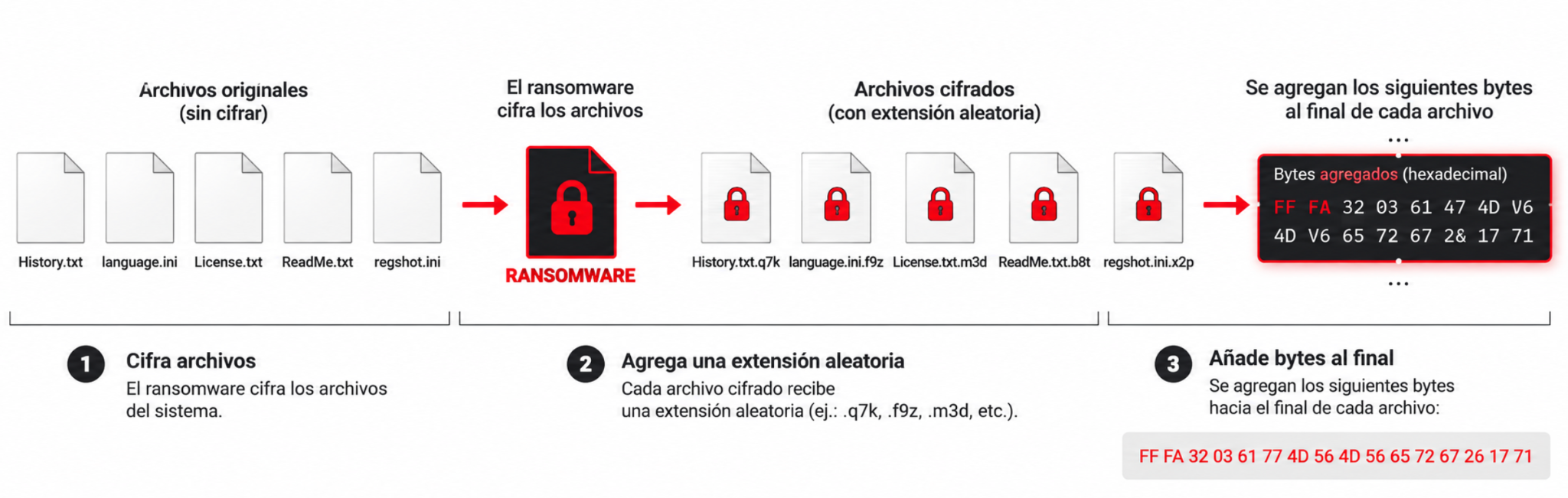 Workflow de cifrado Qilin con extensión aleatoria y bytes agregados al archivo